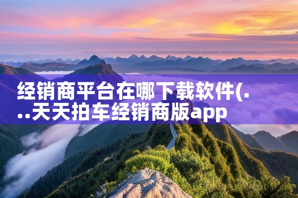 经销商平台在哪下载软件